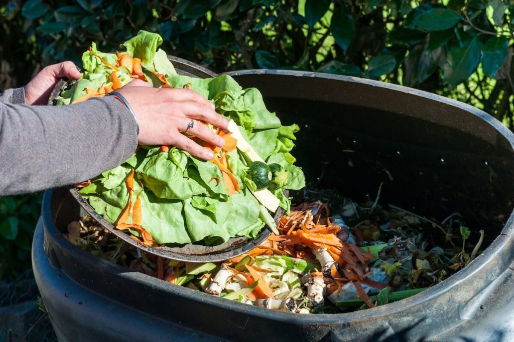 žena vhadzuje bioodpad do kompostéra