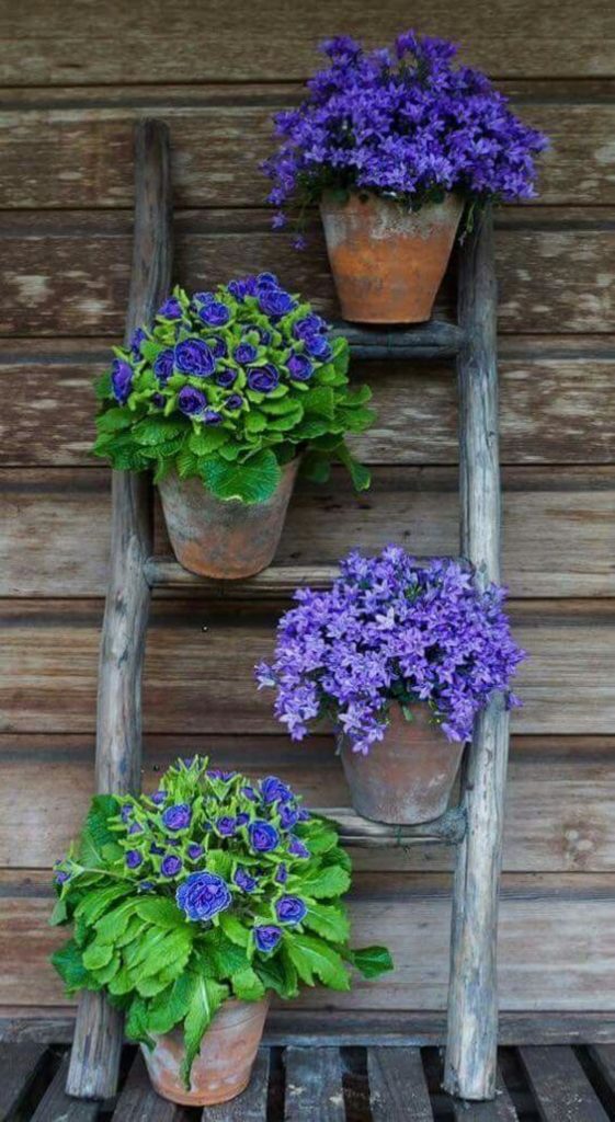 kvetináče na rebríku