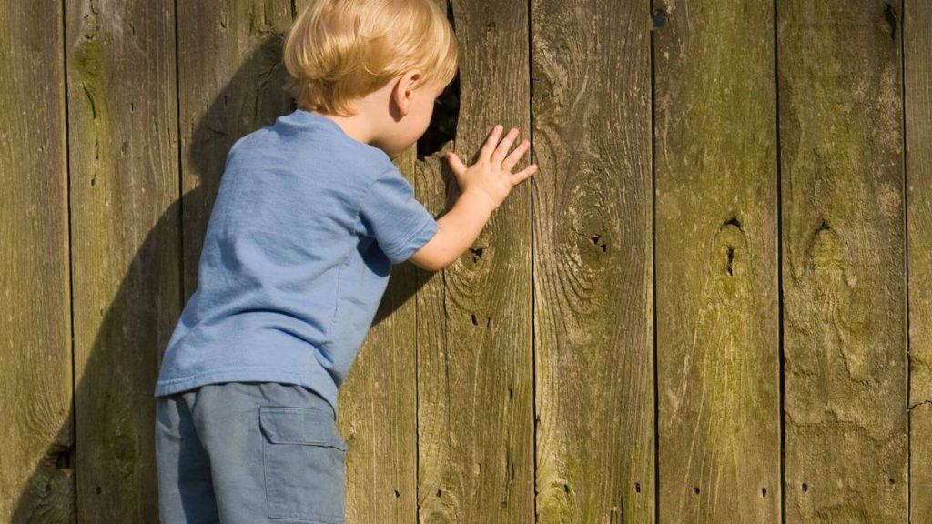malý chlapec sa pozerá do diery v plote